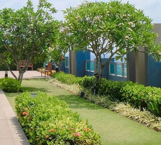 Terrace Garden with Scenic Views – Esquina Near Lokhandwala Andheri West